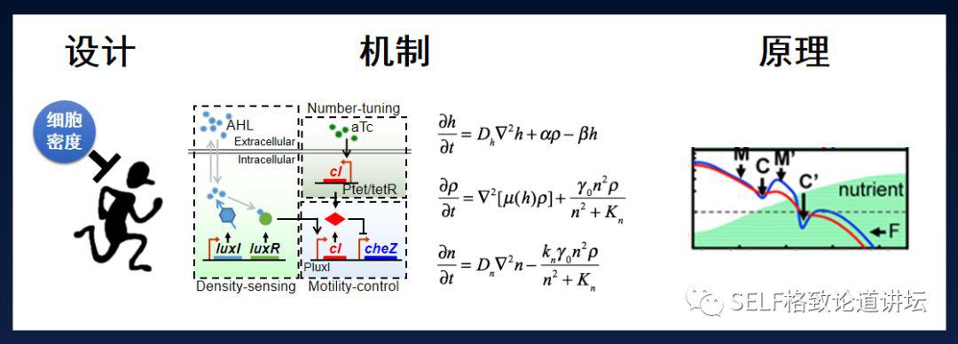 理解的结构类型