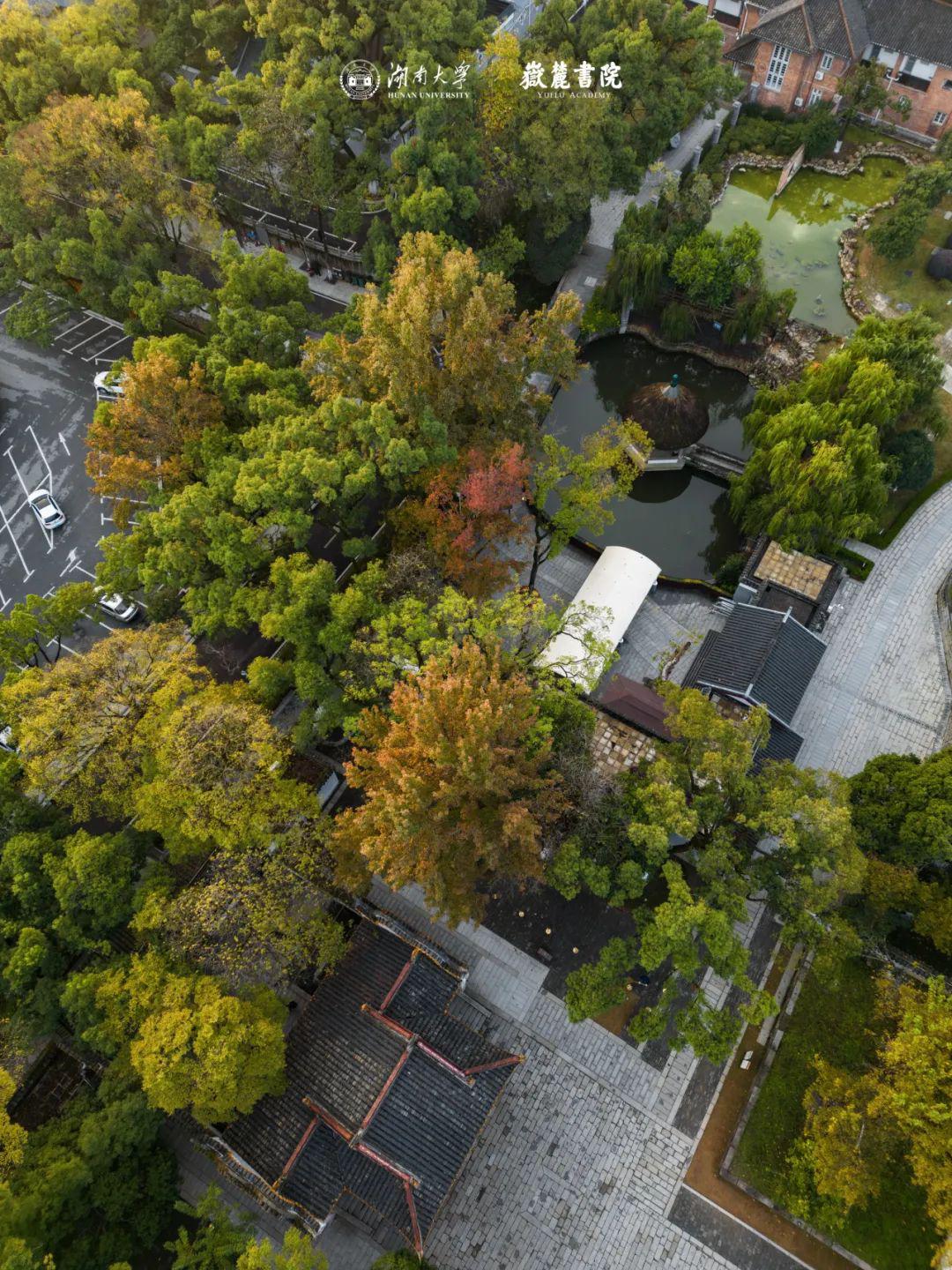 邀您共赏岳麓书院缤纷秋色