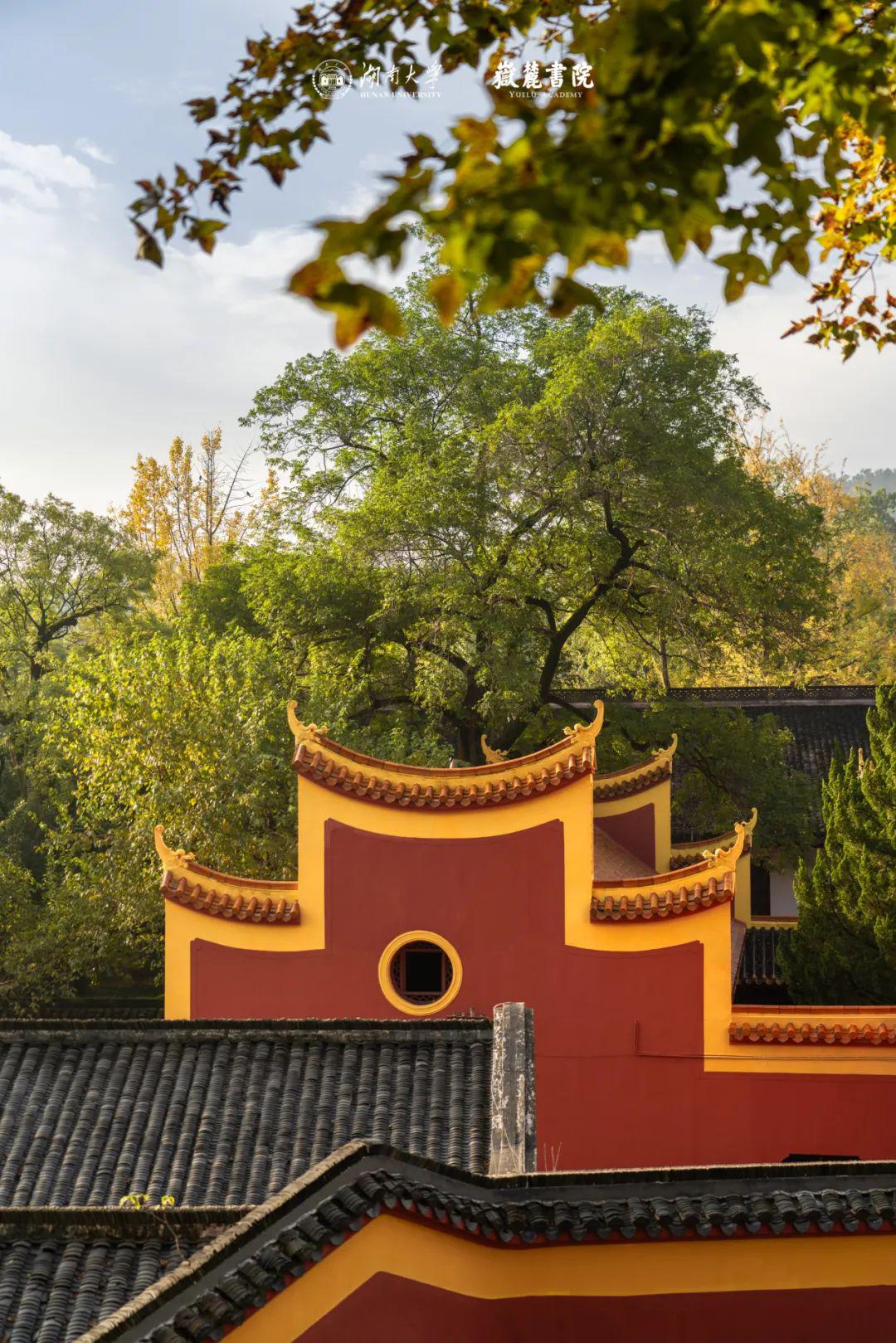 邀您共赏岳麓书院缤纷秋色