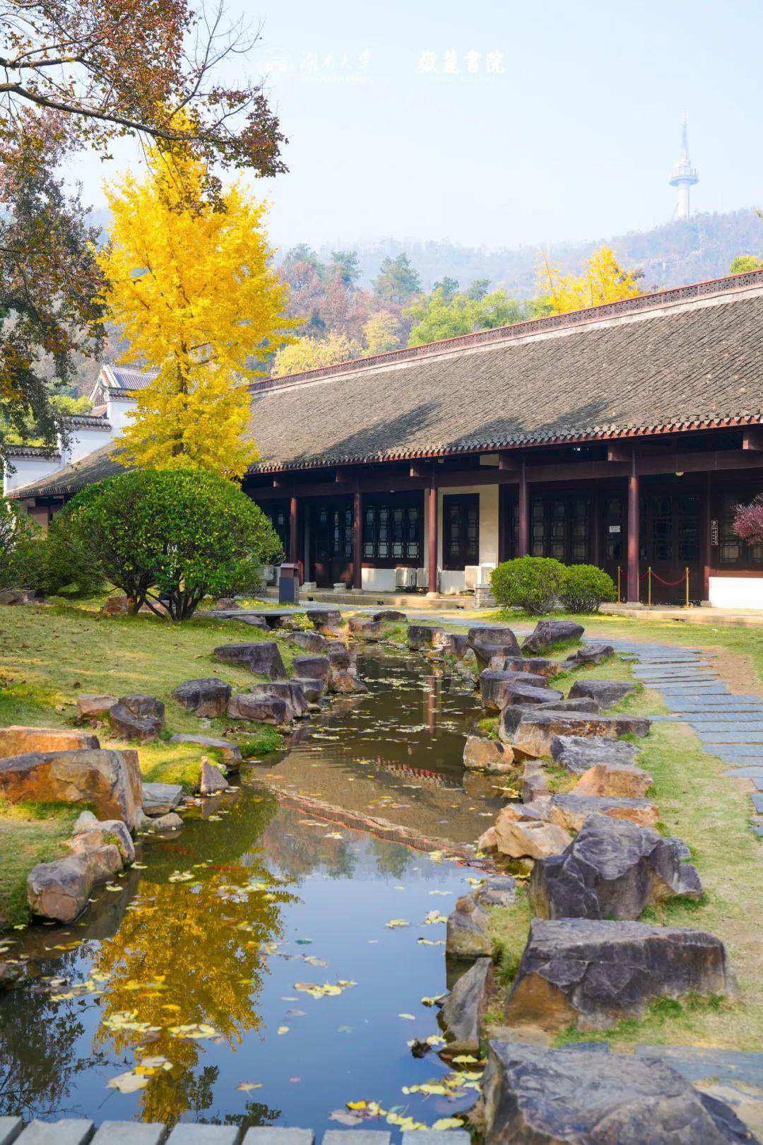 邀您共赏岳麓书院缤纷秋色