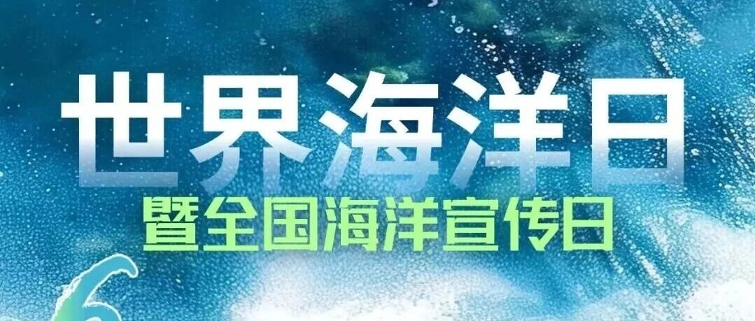 今天，我们一起认识海草床 | 世界海洋日