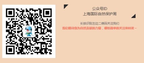 明天入伏！（附避暑指南）
