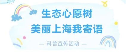【生态心愿树美丽上海我寄语】写下绿色期许，共赴申城自然之约（第三期）